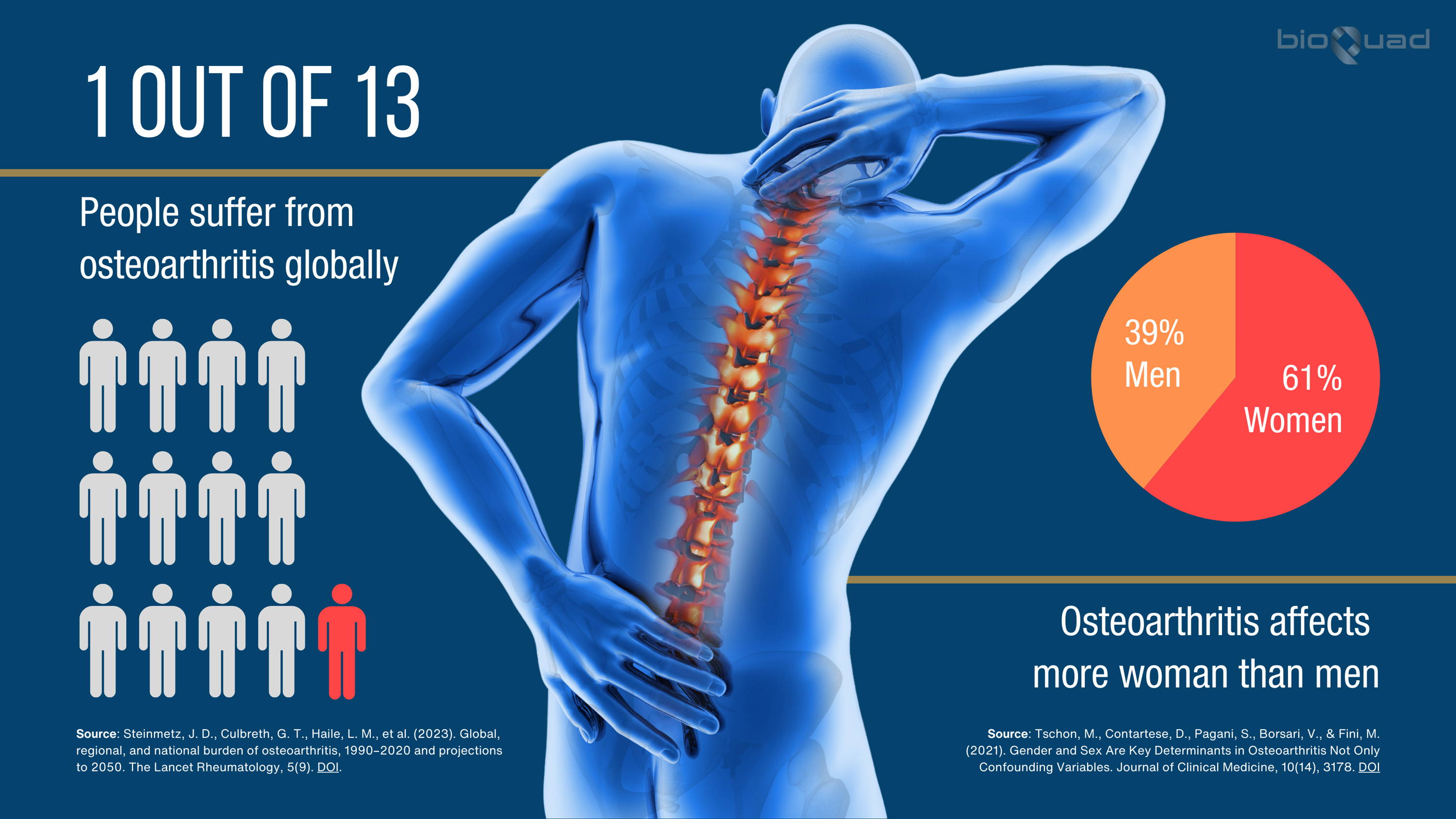 Infographic showing '1 out of 13 people suffer from osteoarthritis globally' with a visual of a human figure highlighting spinal pain, accompanied by a pie chart showing osteoarthritis affects 61% women and 39% men, with sources cited from The Lancet Rheumatology and Journal of Clinical Medicine.