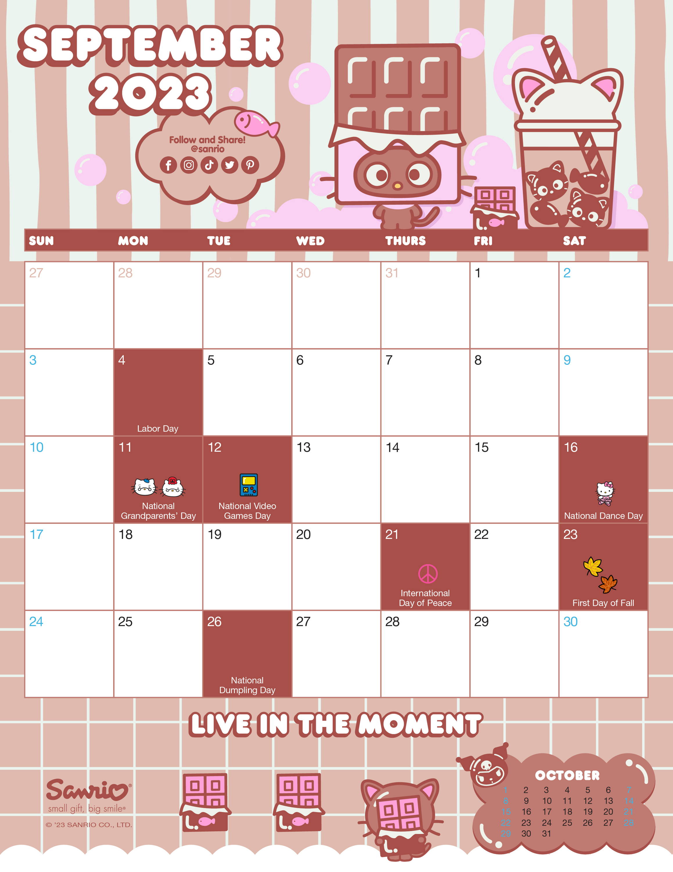 Sanrio Friend of the Month