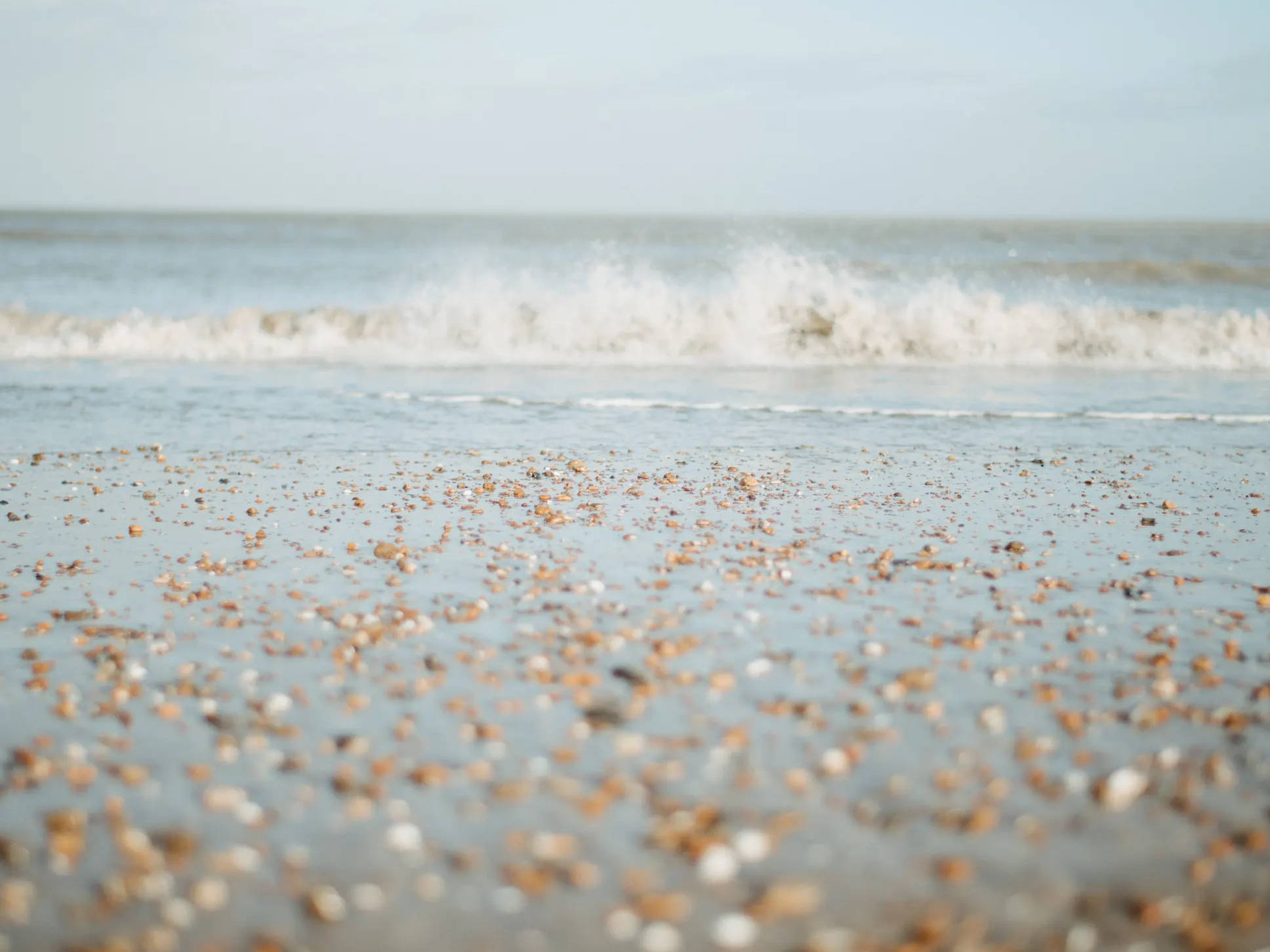 Pebbles and seashells on the shore as wave crash
