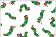Eric Carle Very Hungry Caterpillar Classroom Theme