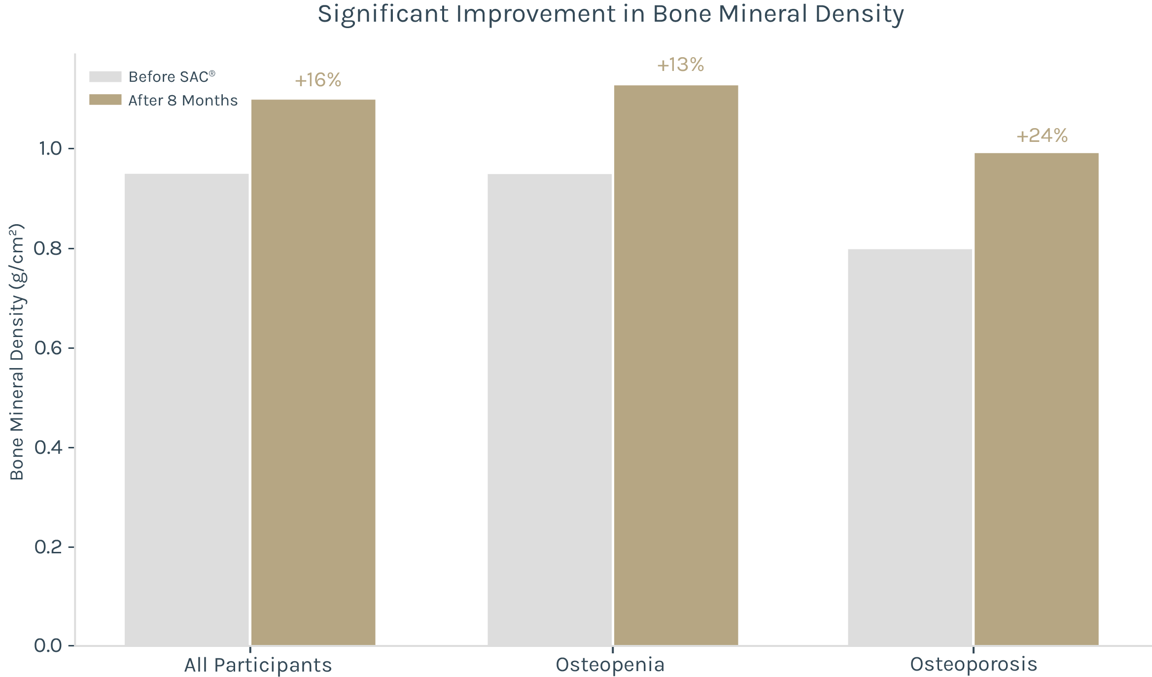 Bar chart showing bone mineral density improvements after 8 months of SAC® supplementation. All participants increased from 0.95 to 1.10 g/cm² (+16%), osteopenia participants increased by 13%, and osteoporosis participants increased by 24%, demonstrating clinically significant improvements in bone health.