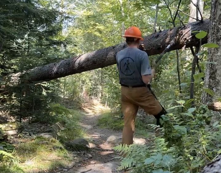 Person in an orange helmet carrying a fallen log on a forest trail.