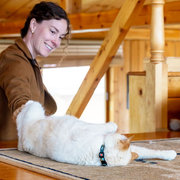 Woman smiling while petting a relaxed cat on a wooden table.