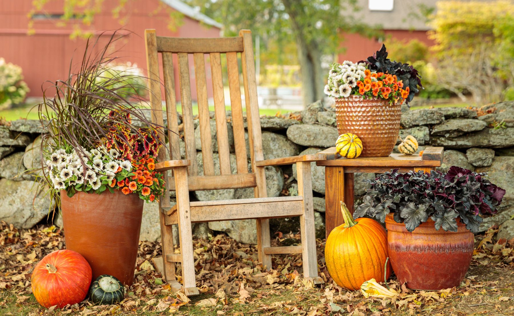 Scene of a wooden rocking chair outside surrounded by combination containers of Primo® Black Pearl, Superbells® Dreamsicle®, Supertunia® Blue Tiara™, Graceful Grasses® Purple Fountain Grass, ColorBlaze® El Brighto