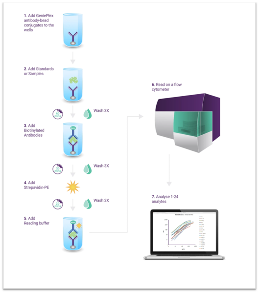 Multiplex protocol