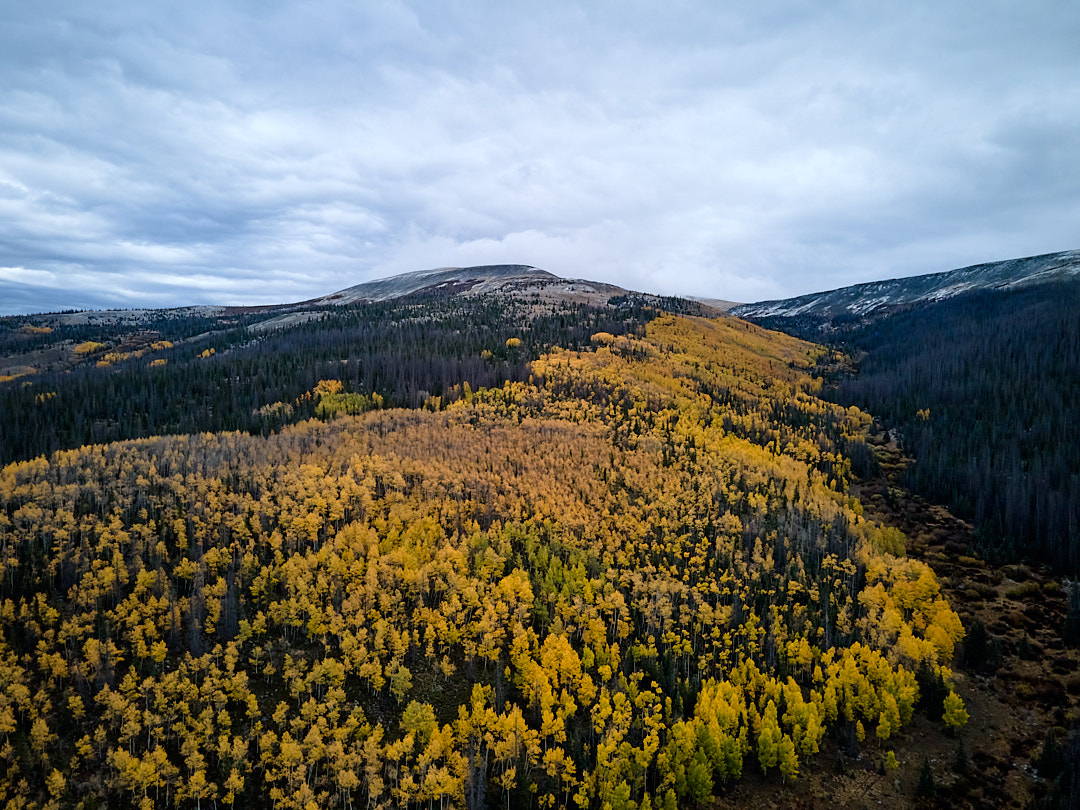snowpack in colorado is vital to fall color