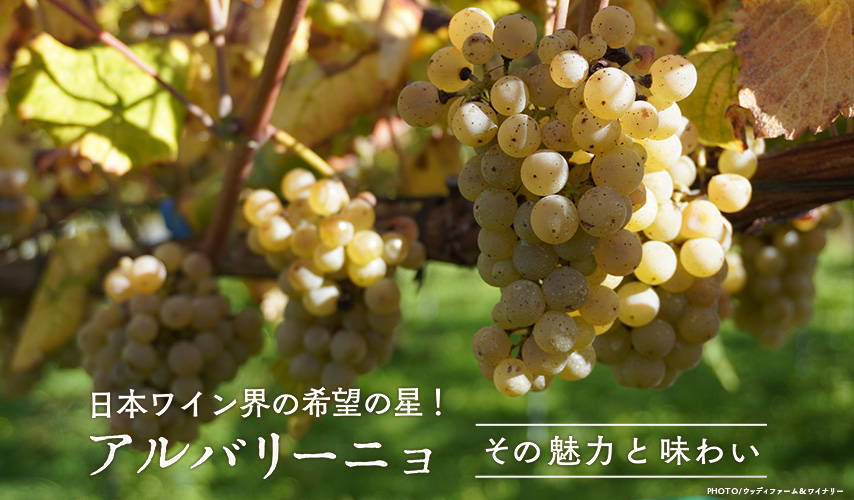 － その魅力と味わい － 日本ワイン界の希望の星！アルバリーニョ