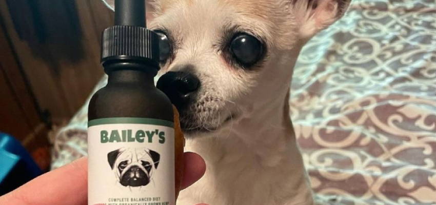 Image of a calm dog sitting and its owner showing Bailey's CBD Oil For Dogs product.