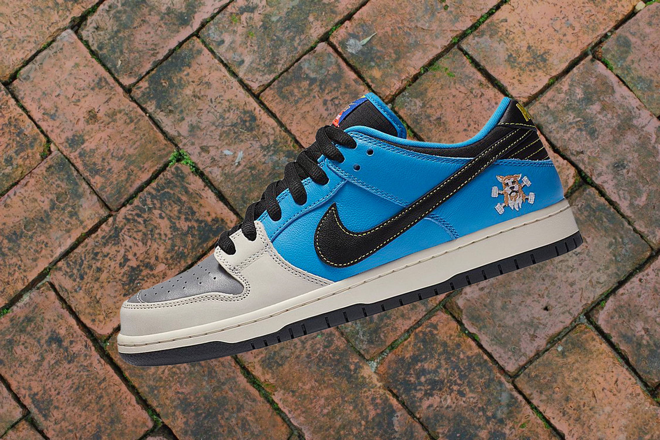 instant skateboards x nike dunk sb low