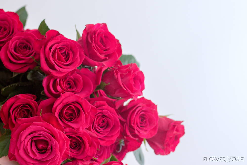 Roseberry Roses | Bulk Fresh DIY Wedding Flowers | Flower Moxie