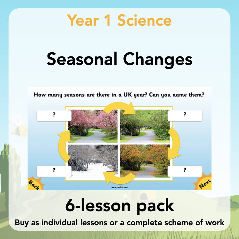 Year 1 Curriculum - Seasonal Changes
