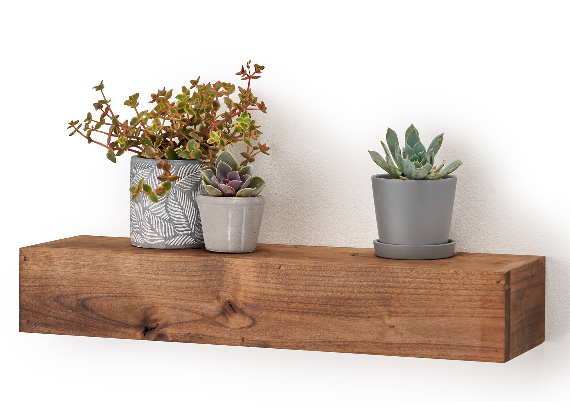 small planters on a wooden floating wall shelf