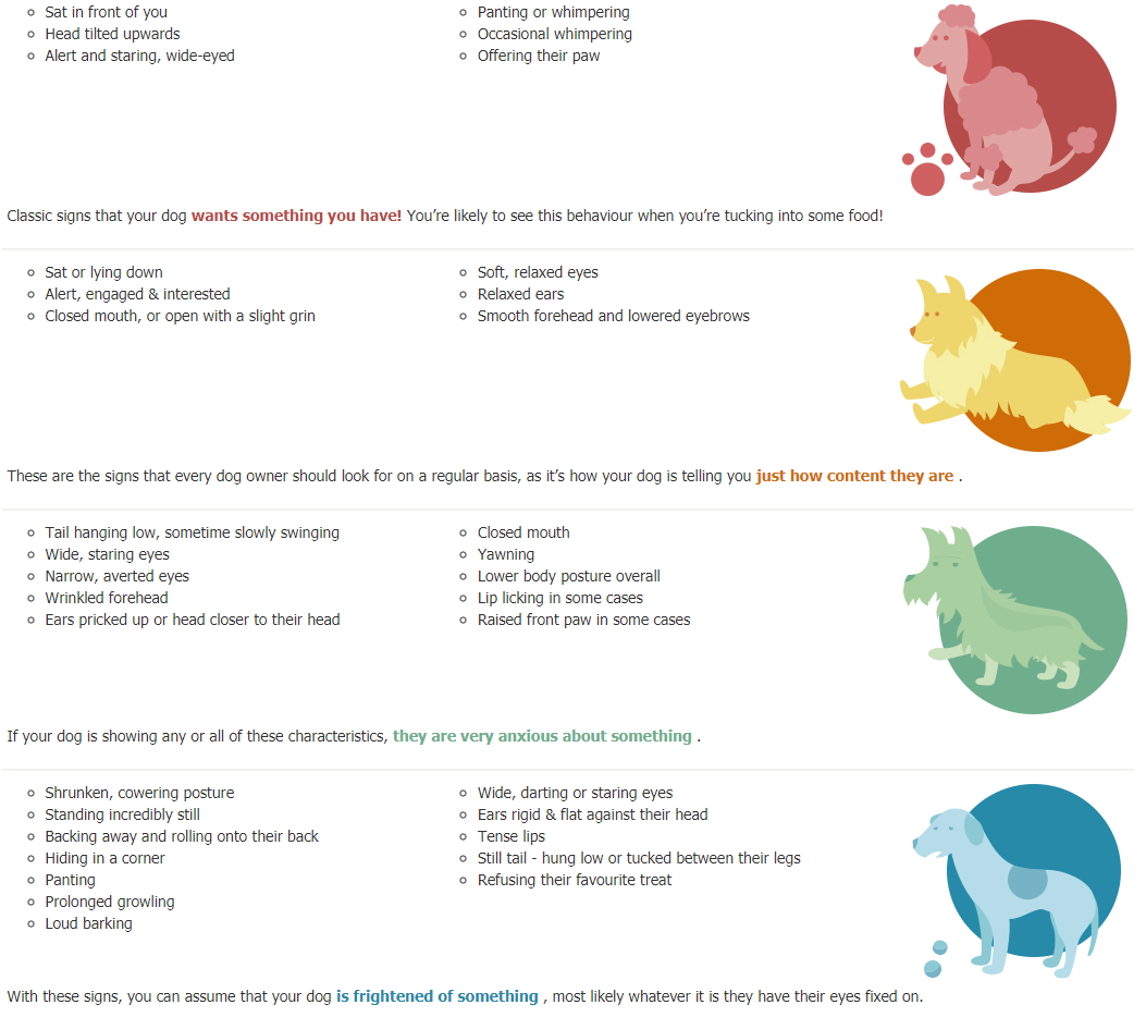 Dog Body Language Diagram