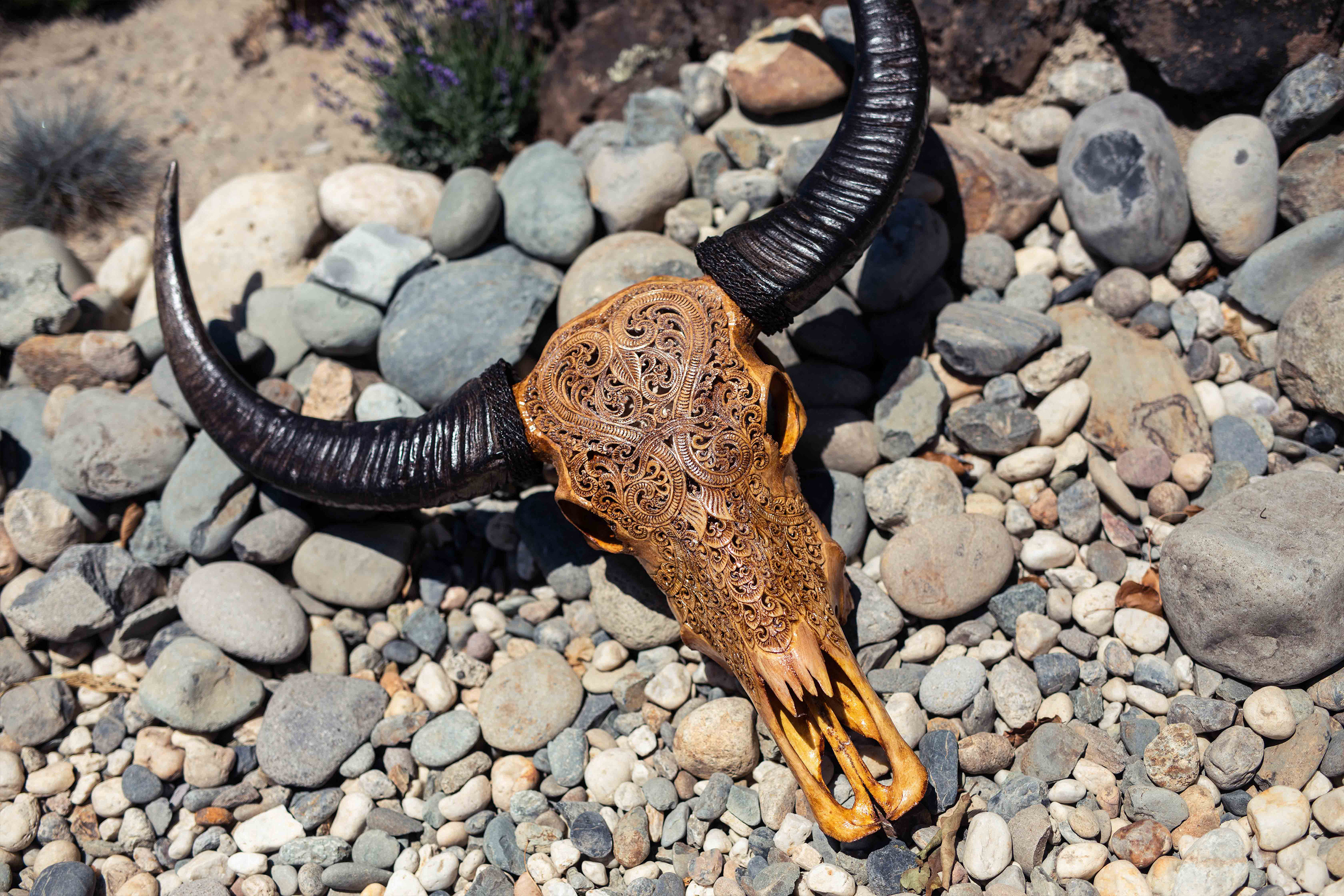 A carved brown skull with dark brown horns is laying on stones.