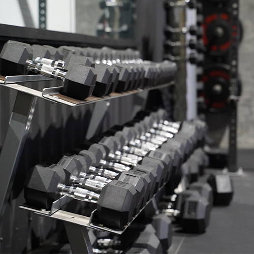 Commercial Gym Fit Out Dumbbells