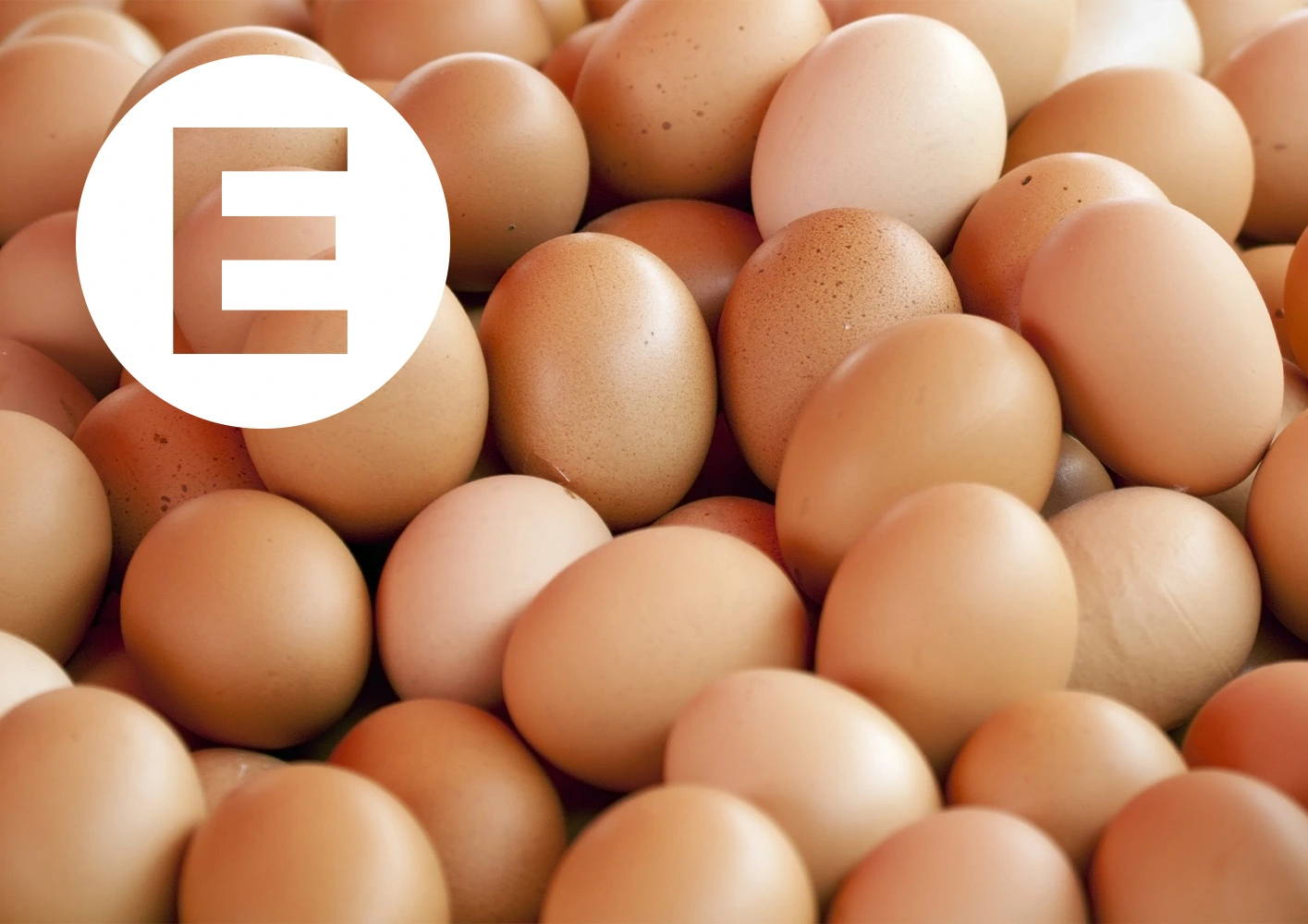 Letter E With Egg Background