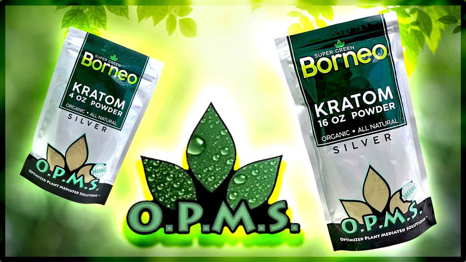 OPMS Silver Super Green Borneo Kratom Powder