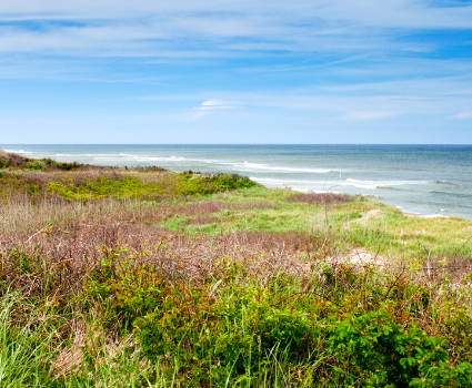 Nauset Beach cape cod public parking swimming places to swin