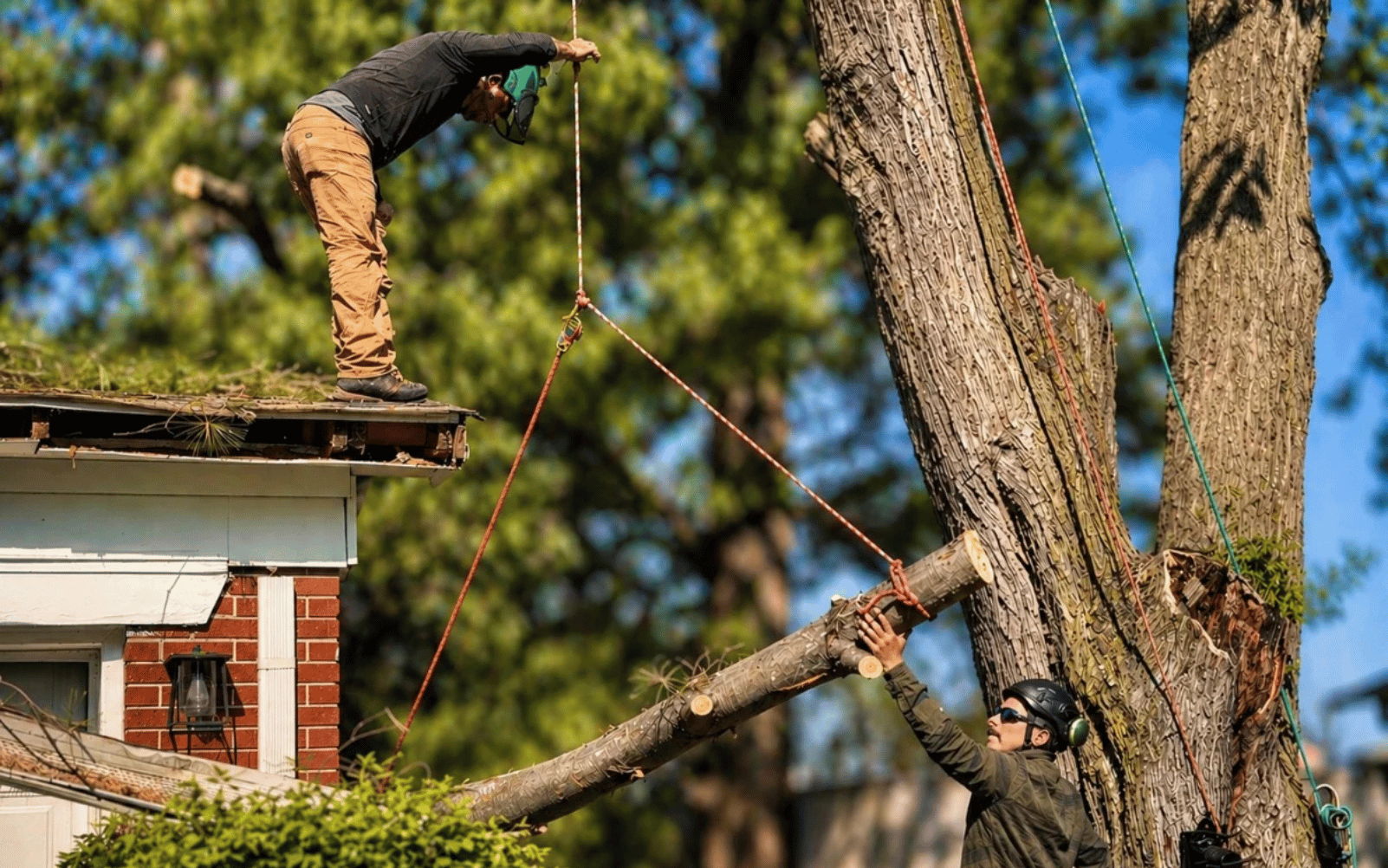 Two men working on tree removal from a house rooftop.