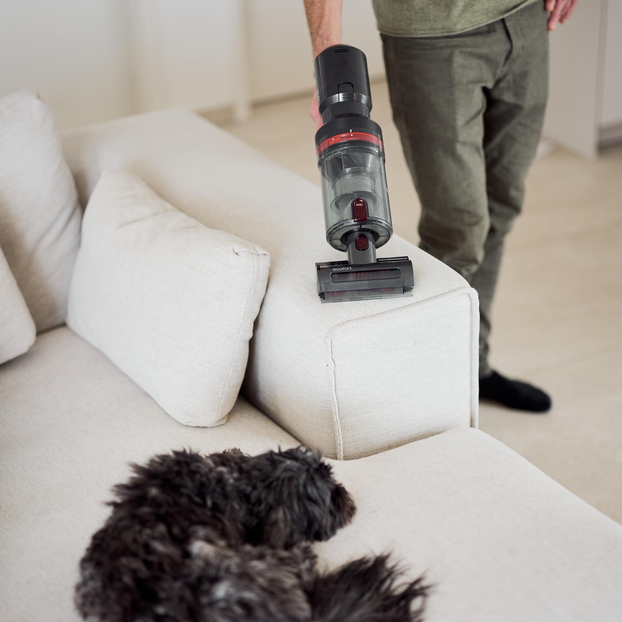 ecoQ CleanVac Pro Animal: Der perfekte Staubsauger für Tierhaushalte – mit Spezialdüsen & effektiver Filtertechnik.
