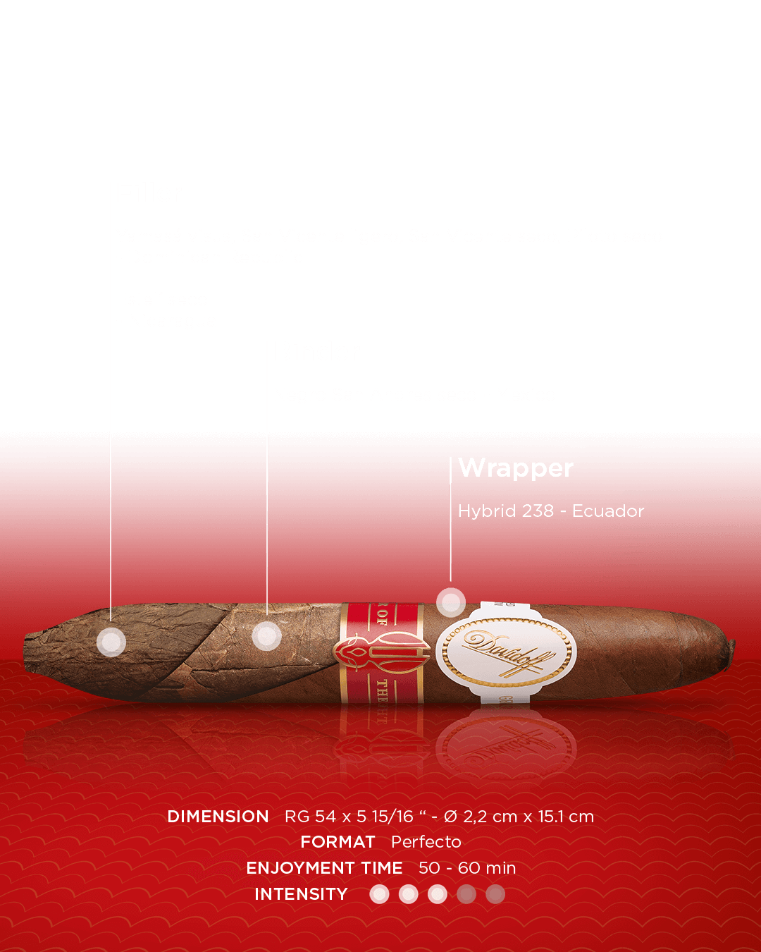 Blend breakdown of Davidoff Year of the Rabbit Limited Edition perfecto cigar. Filler from the Dominican Republic, binder from Mexico and the wrapper from Ecuador. Enjoyment time of 50 to 60 minutes with medium intensity.  