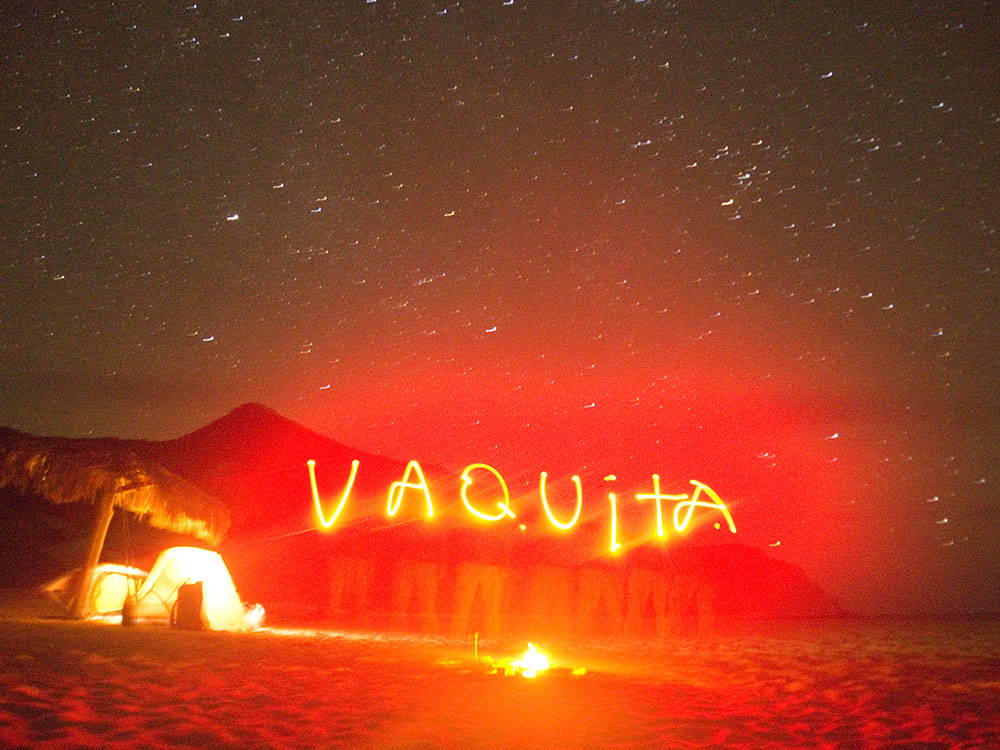 Vaquita written in the dark using a torch