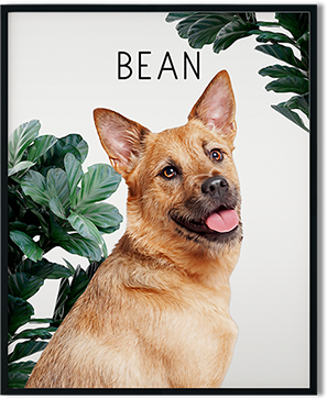 custom modern dog art on framed print