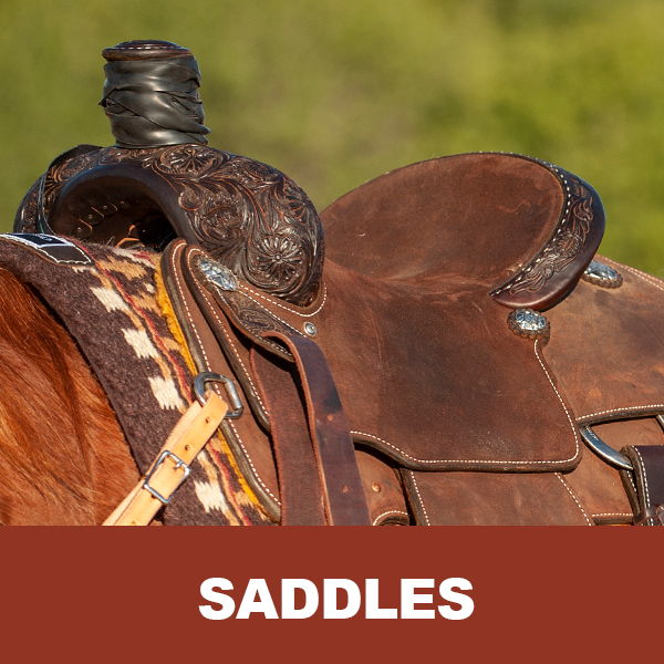 Close-up of a saddle on a horse, with text 