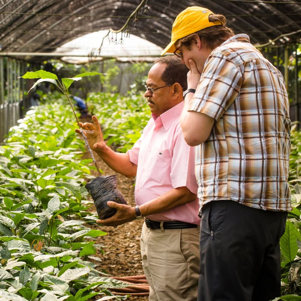 Two men inspecting a plant in a greenhouse.