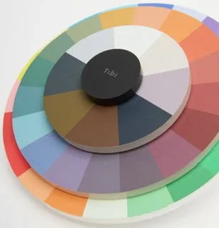 Color wheel with various paint swatches arranged in circular patterns.