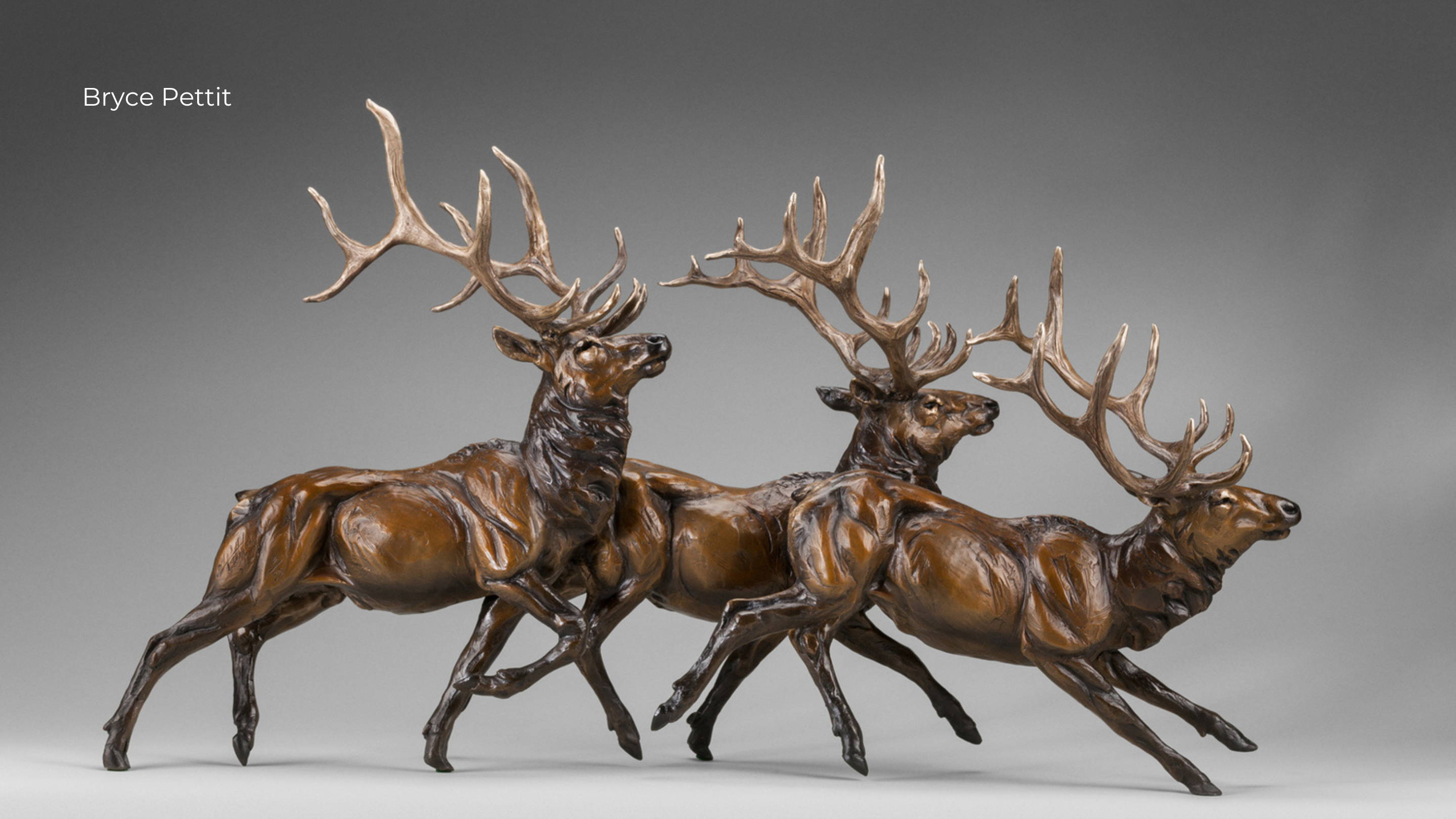 Bryce Pettit. Wildlife Sculpture. Santa Fe Art Gallery.