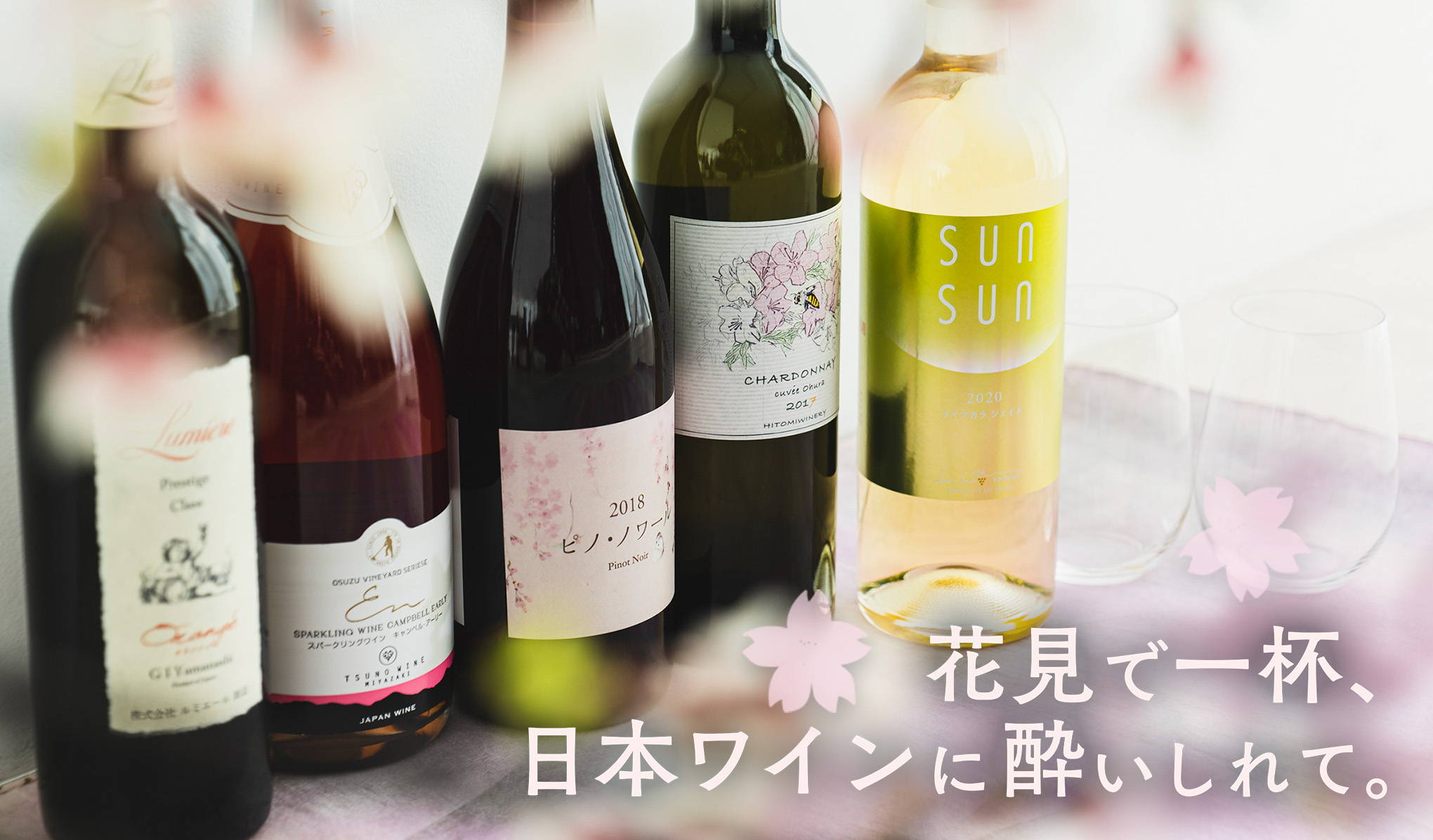 花見で一杯、日本ワインに酔いしれて。