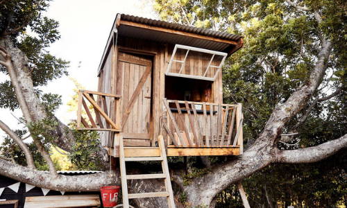 A wooden tree cubby house installed on branches.