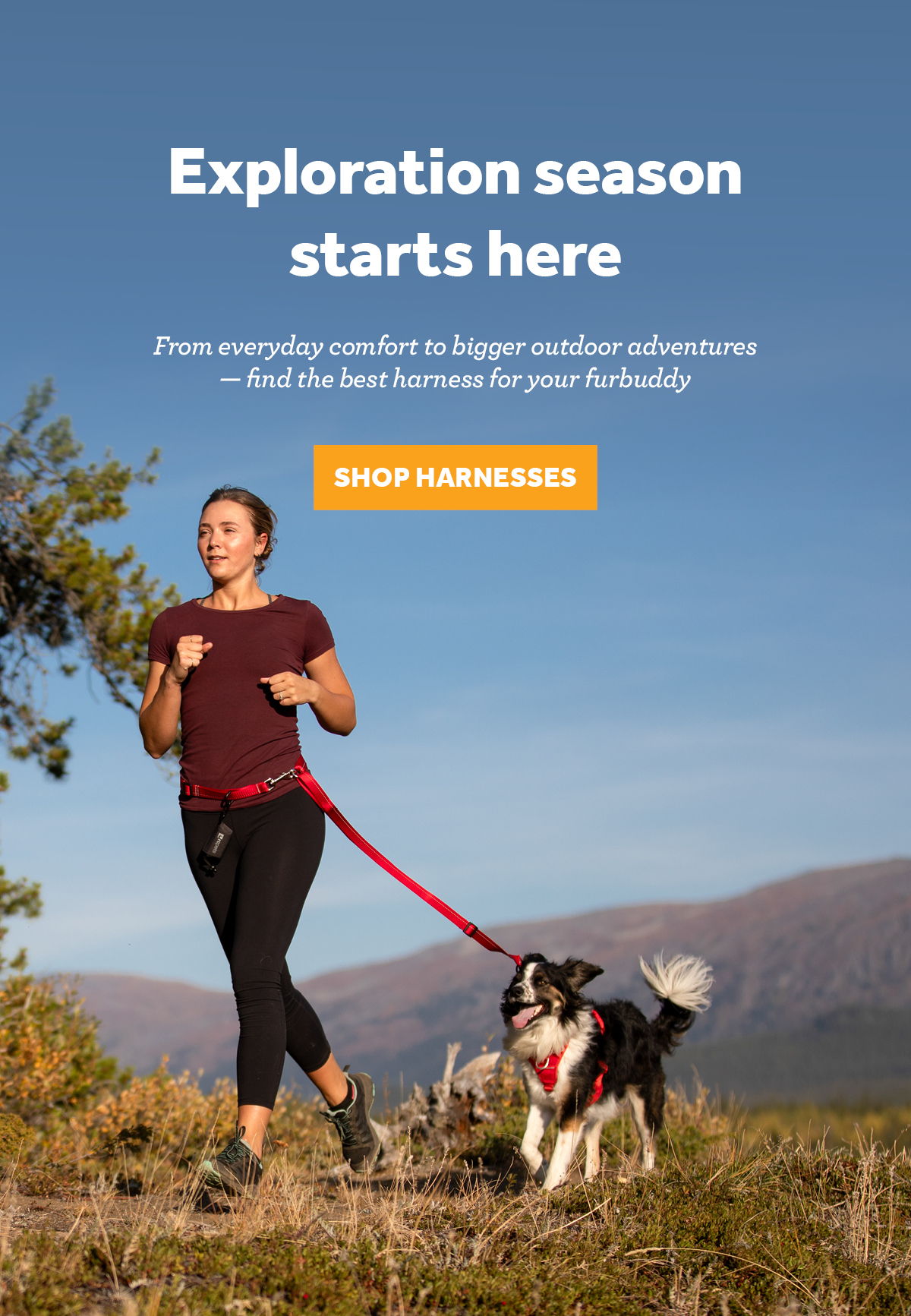 Woman jogging with a dog in a scenic outdoor setting.