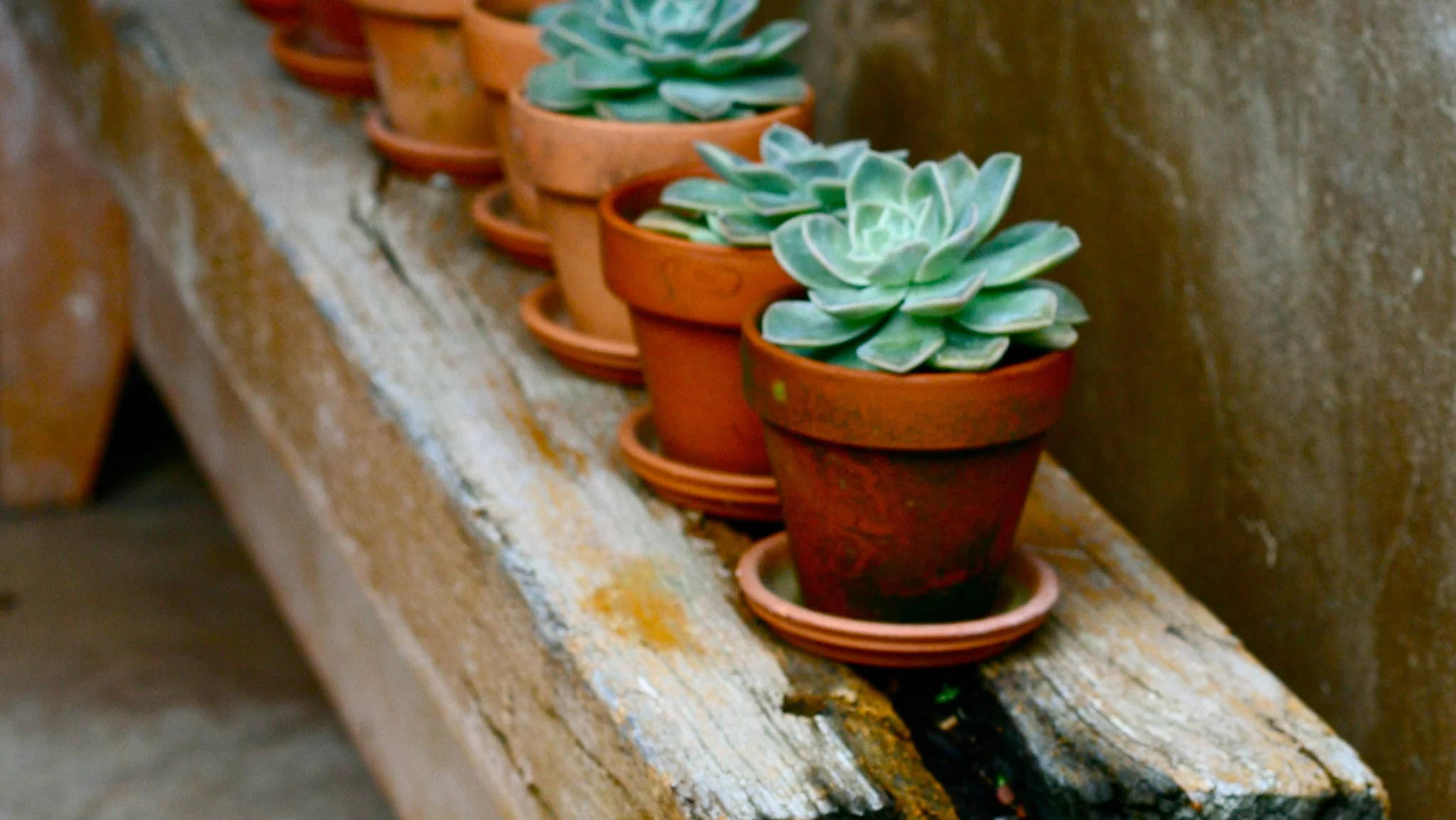 a reclaimed wood potting bench 