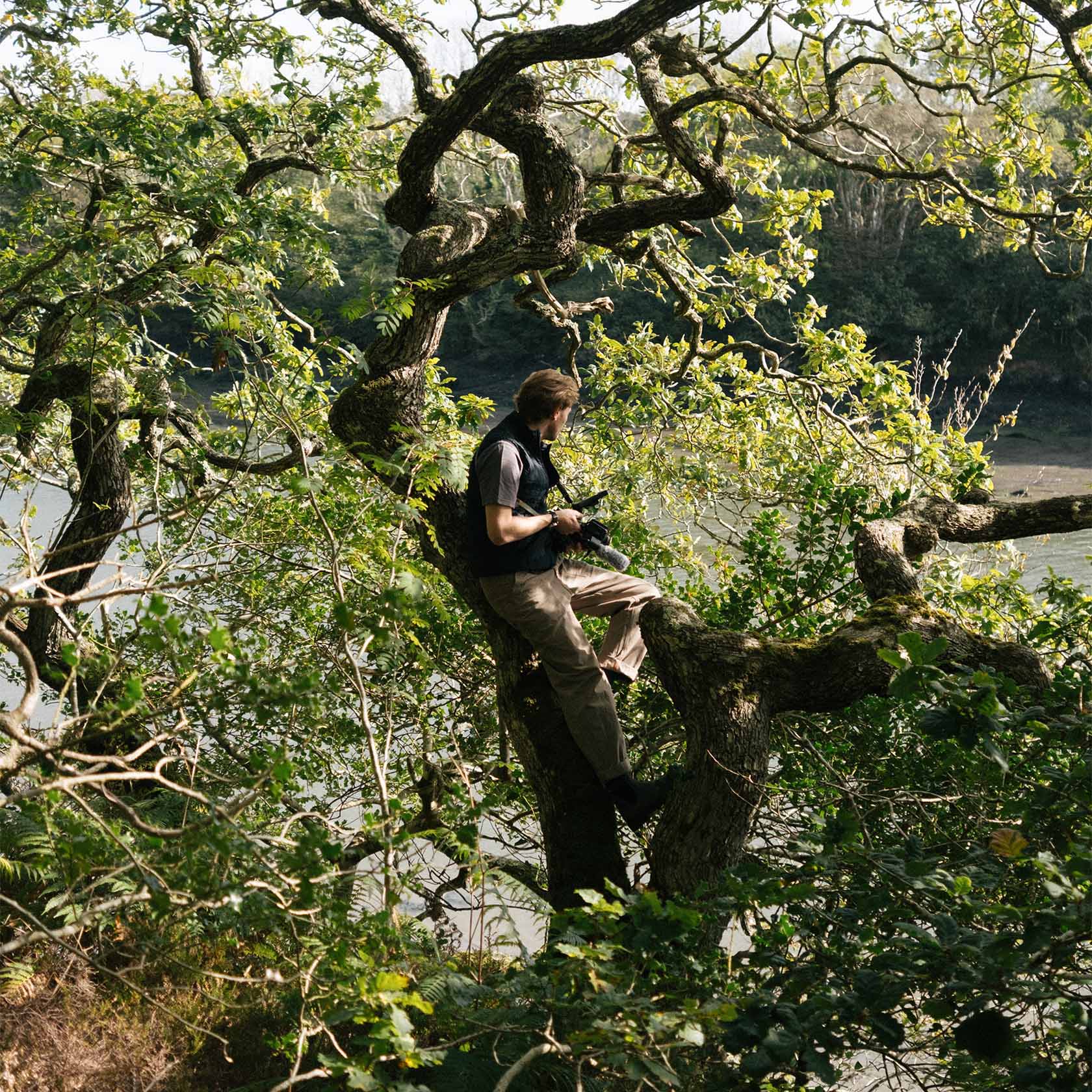 Person sitting on a tree branch near a river.
