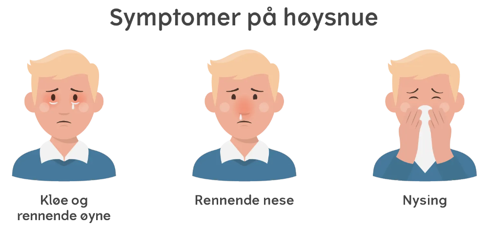  Høysnue kan gi symptomer i blant annet nese, øyne og luftveier.