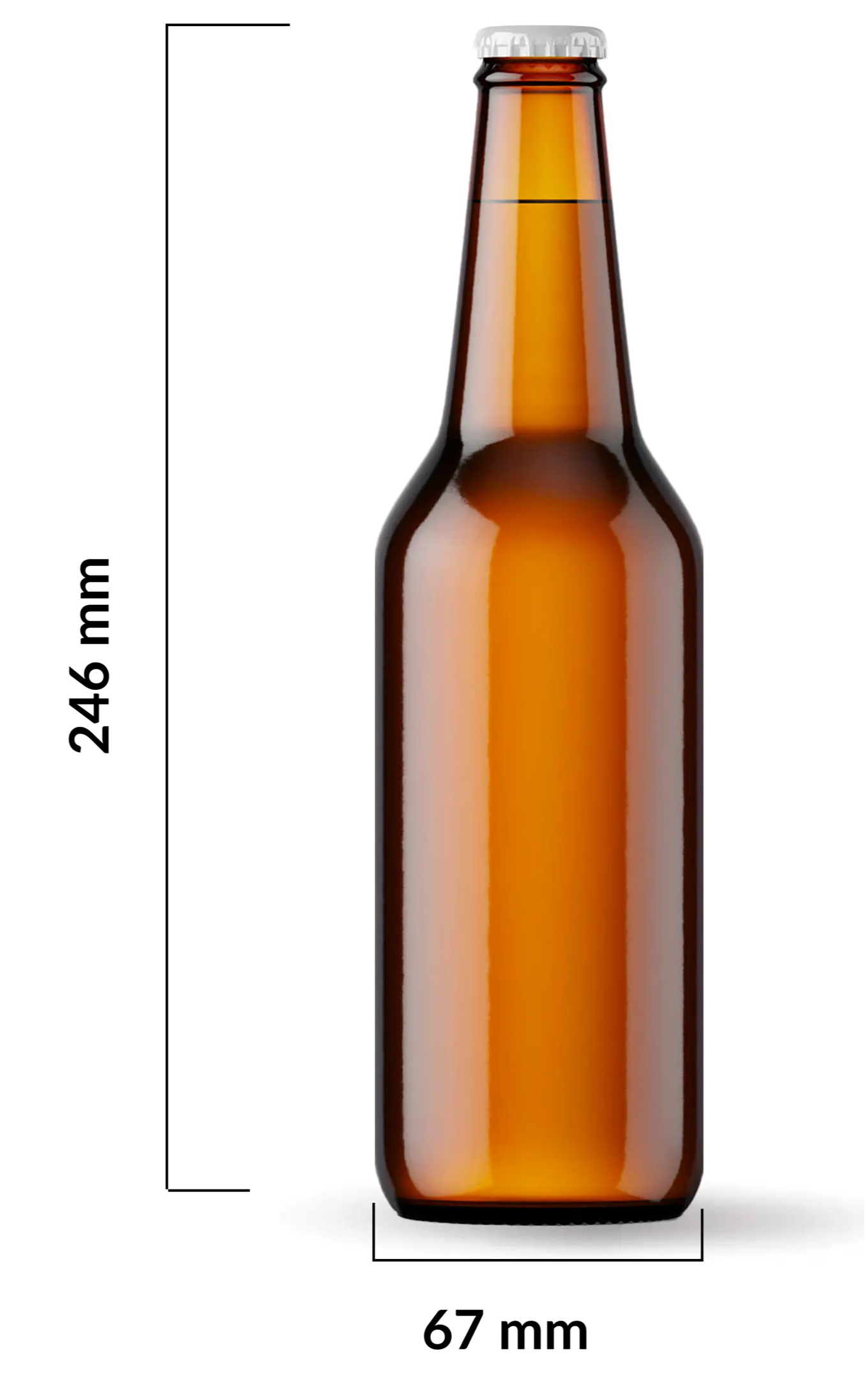 500ml Beer Bottle
