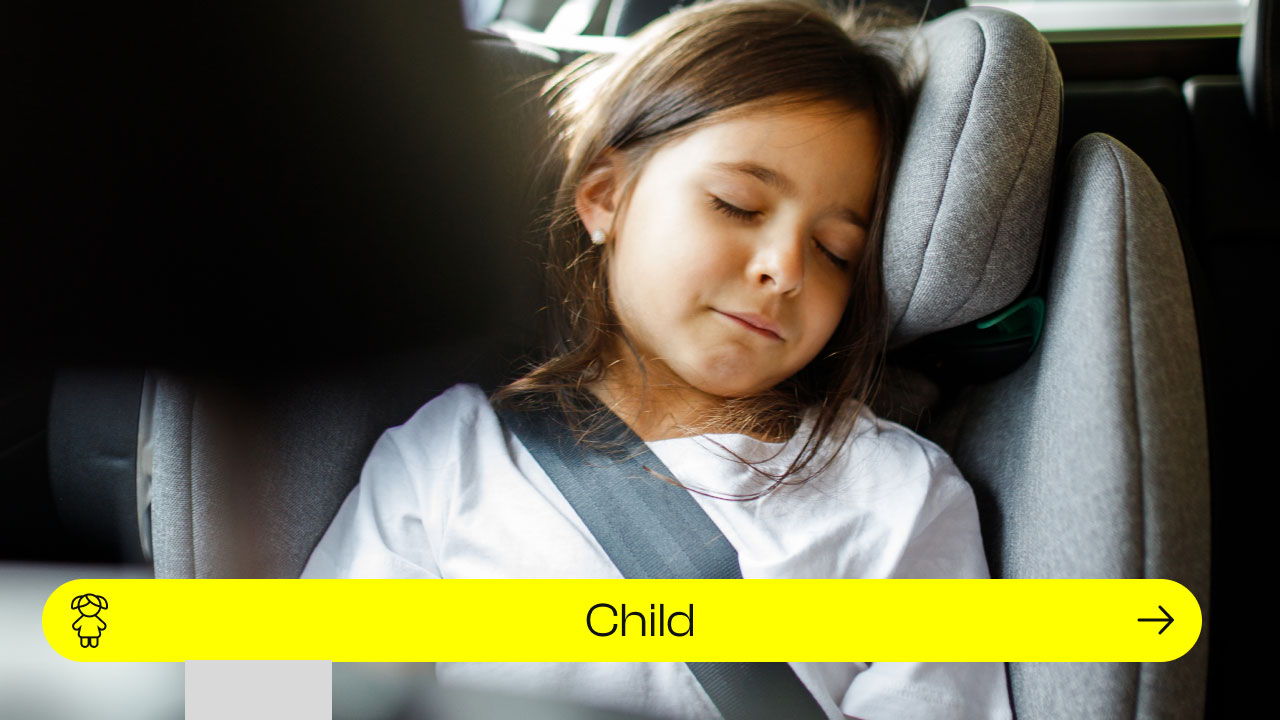Avianaut Child Car Seats
