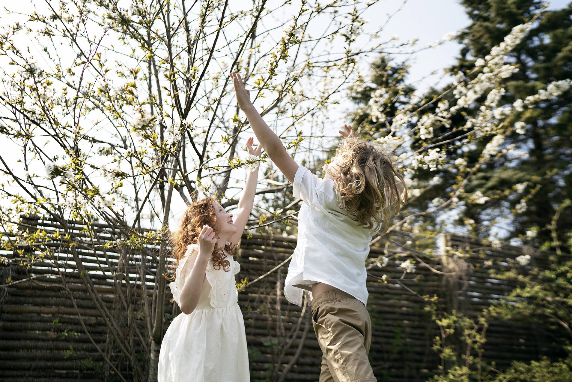 Een meisje en jongen spelen samen buiten, en springen tussen de bloesem van de bomen 