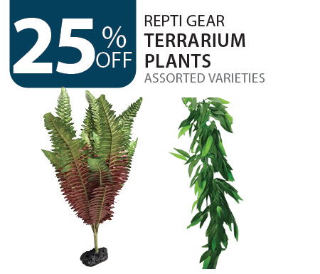 25% off Repti Gear Terrarium Plants