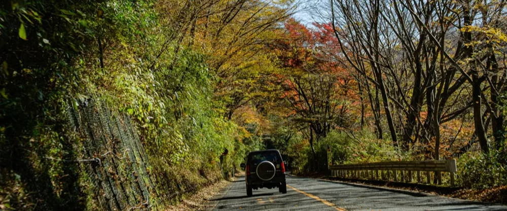関東の秋を車で満喫！絶景の紅葉スポット散策＆ドライブコース12選