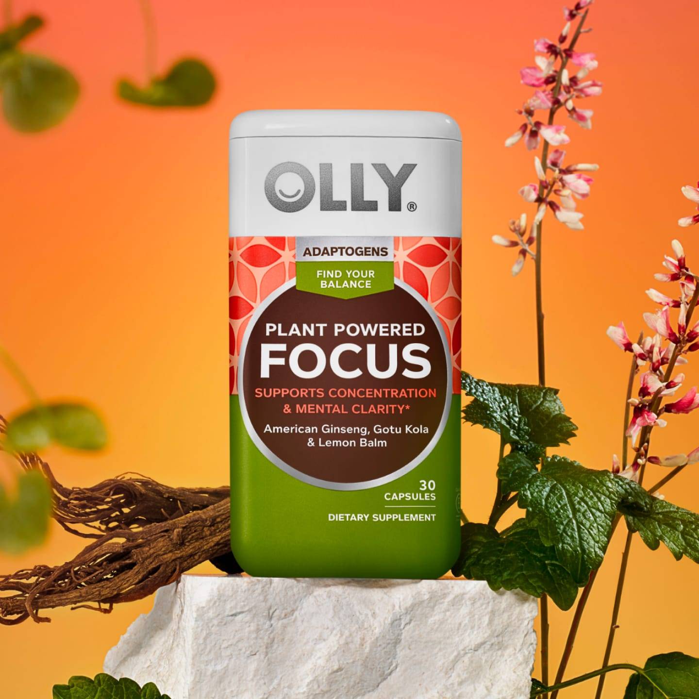 OLLY Plant Powered Focus