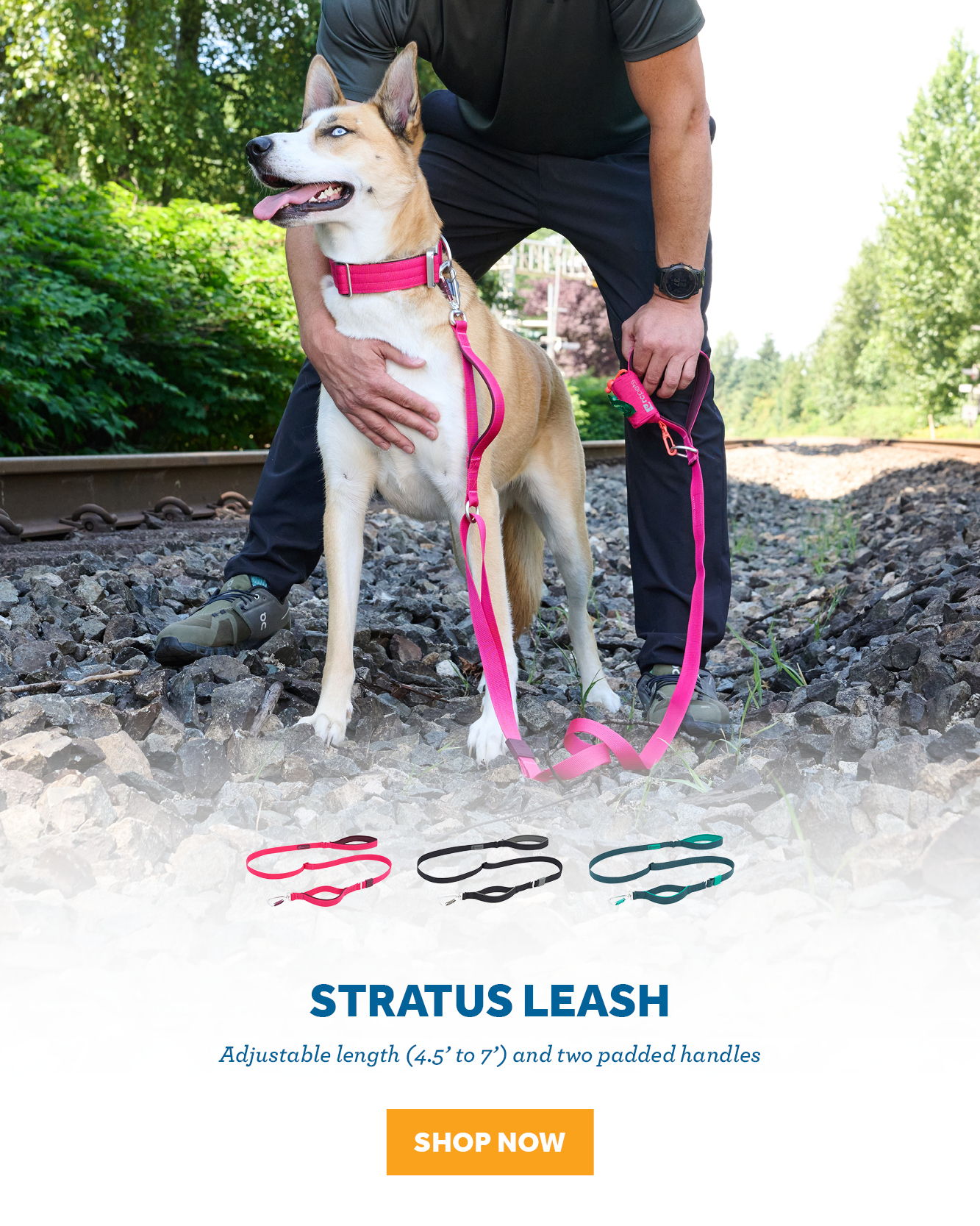 A person holding a colorful Stratus leash with a dog outdoors.