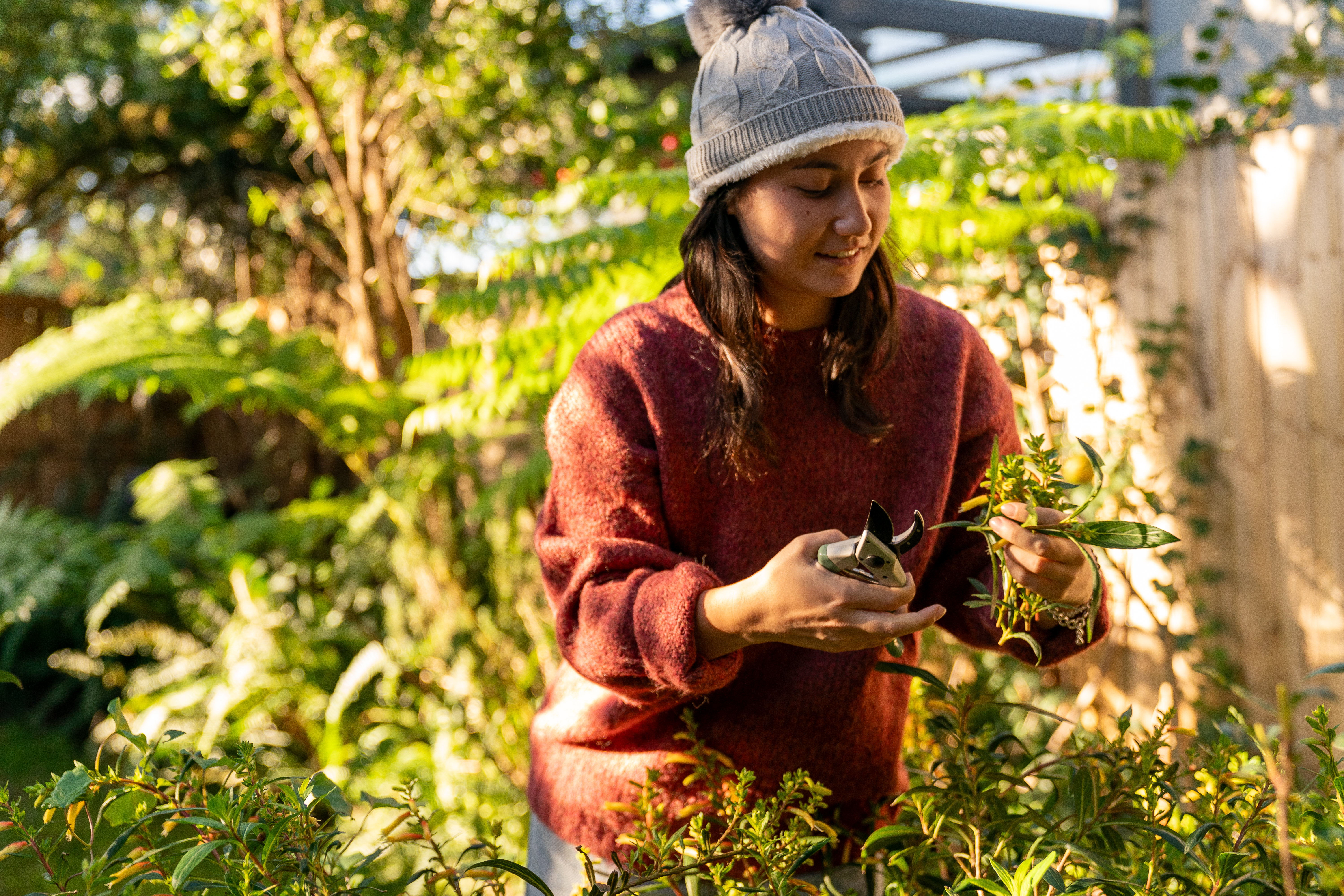 Person gardening and pruning plants in a sunny, green environment.