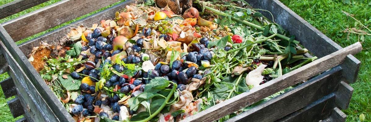 Compost pile of leaves, rotten fruit and vegetables