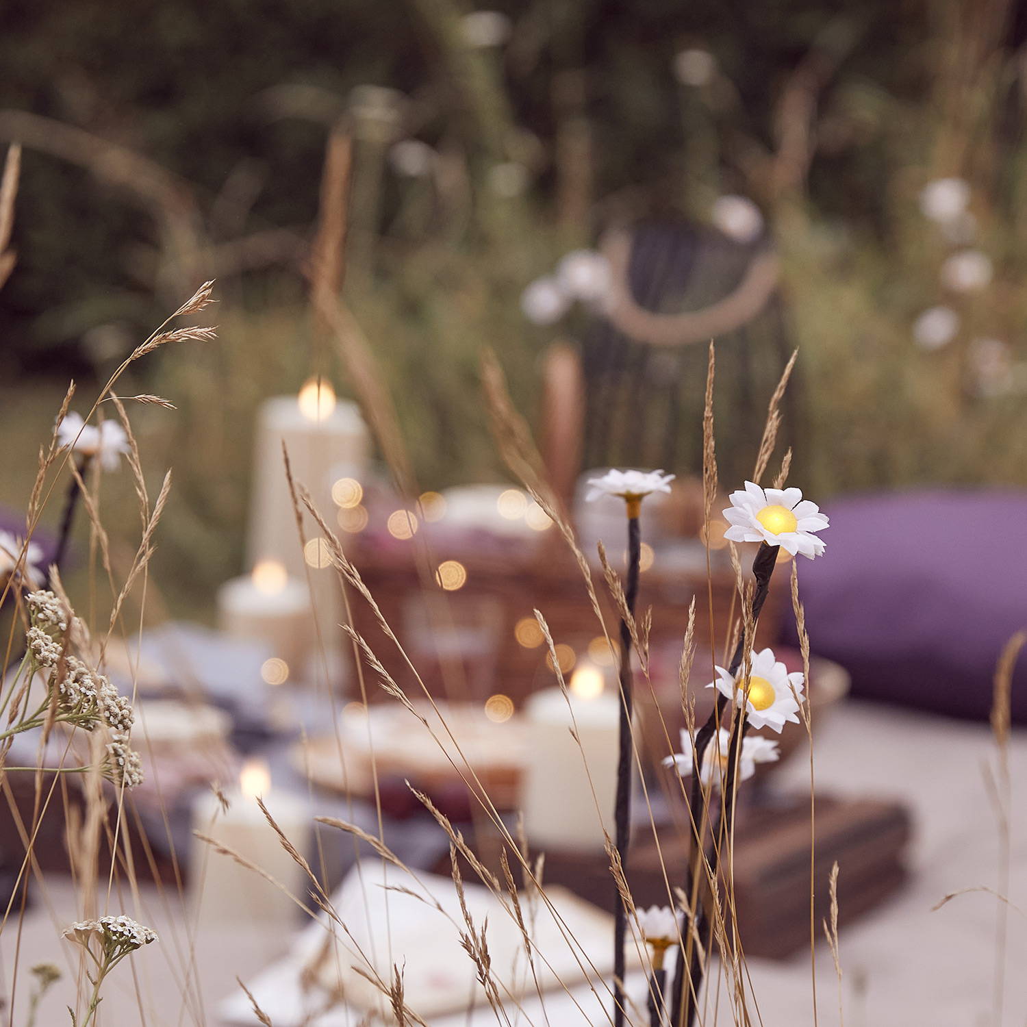 Daisy stake lights with a background setting of an outdoor glowy picnic.