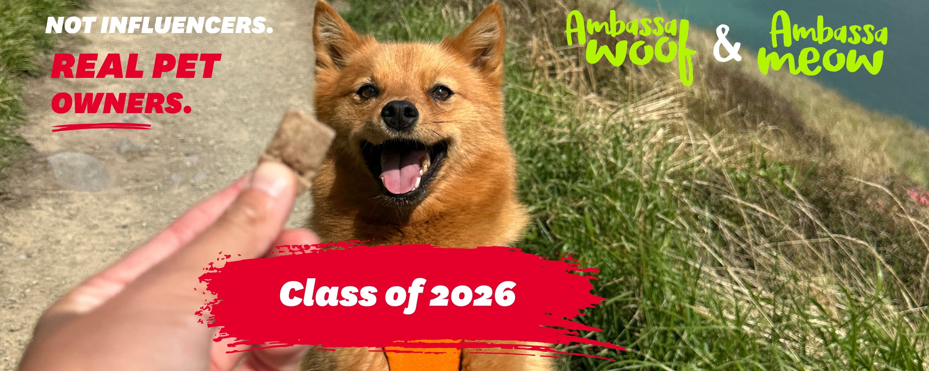 Happypet Real Pets Ambassadors