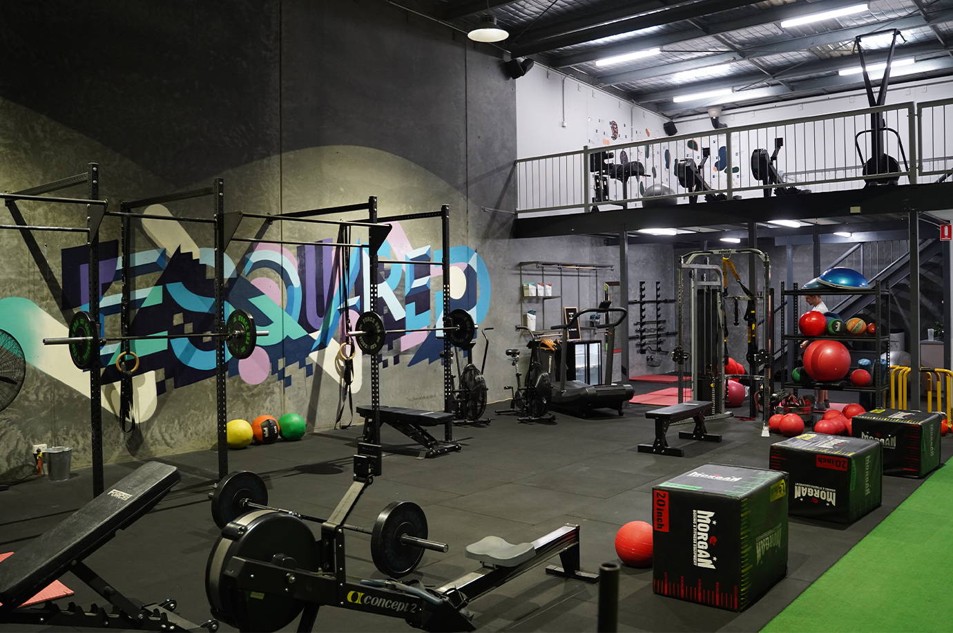 Commercial Gym Equipment E Squared Studios Adelaide 