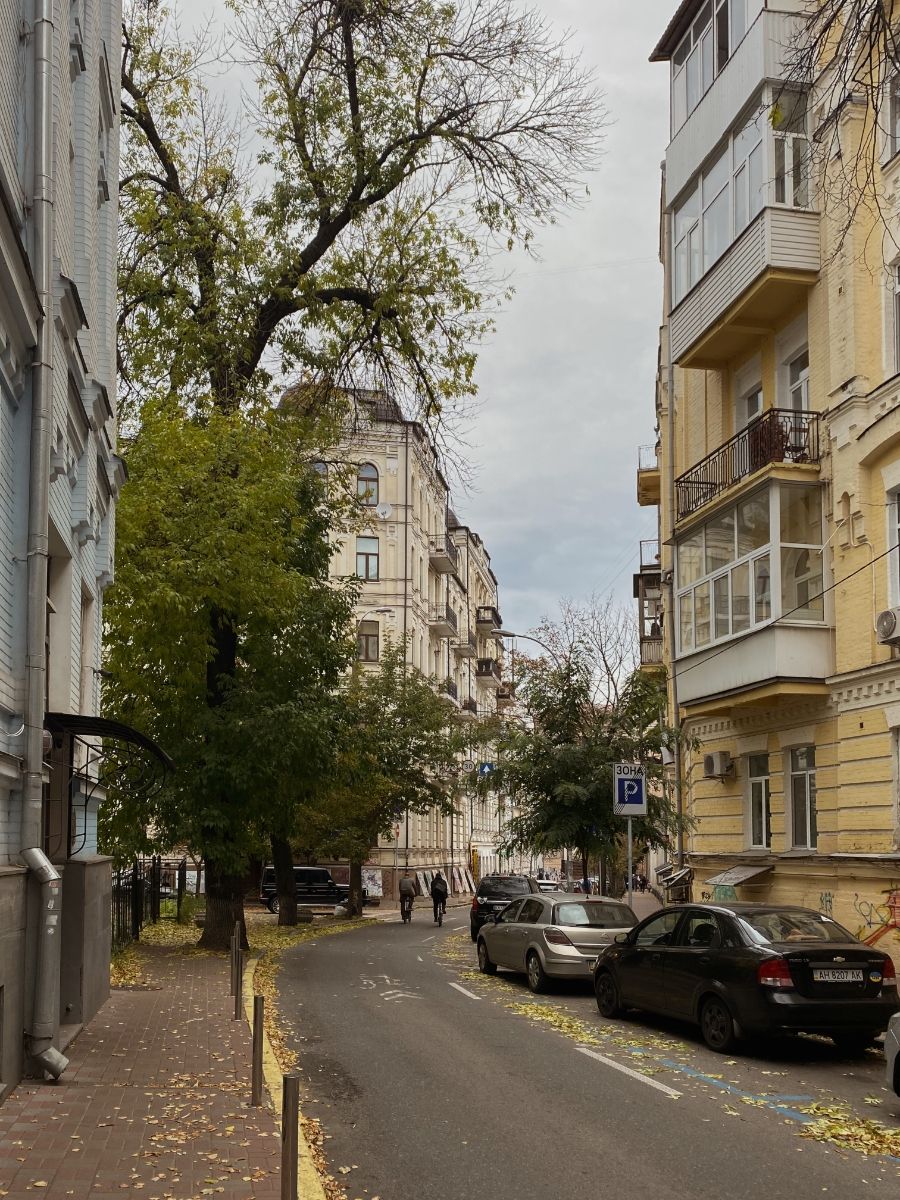 Street view with buildings, trees, and parked cars on a cloudy day.